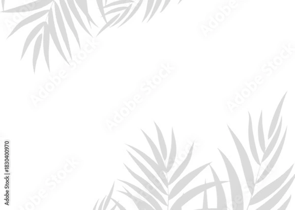 Fototapeta Soft Transparent Leaf Shadow Overlay realistic Effect in Vector Format for Clean, Realistic, and Nature-Themed Mockups