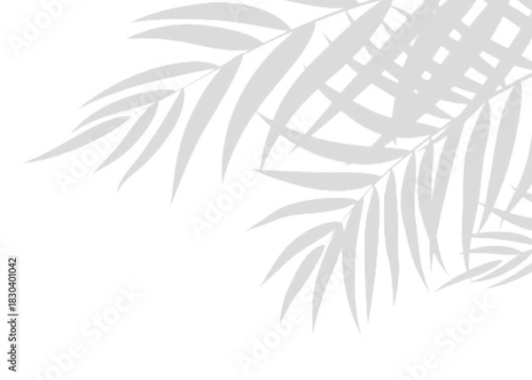 Fototapeta Soft Transparent Leaf Shadow realistic Overlay Effect in Vector Format for Clean, Realistic, and Nature-Themed Mockups