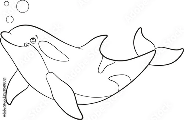 Obraz killer whale01_coloring page