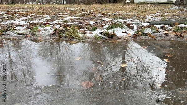 Fototapeta Reflection of bare trees and fallen leaves in a puddle on a wet surface, surrounded by patches of grass and remnants of snow, creating a serene winter landscape