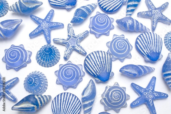 Fototapeta Starfish and seashell backgroun.