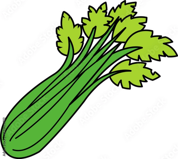 Obraz single illustration of a celery