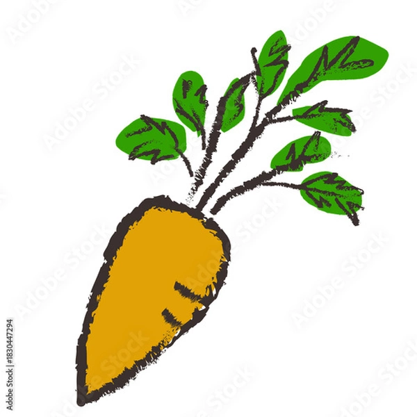 Fototapeta にんじんのイラスト