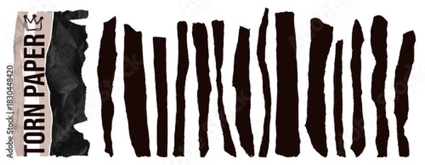 Fototapeta Set torn rectangle paper shape with jagged edges and rough stripes.