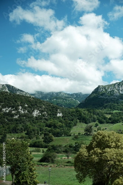 Fototapeta Mountain landscape of northern Spain with green meadows and trees in the foreground and partially vegetated mountains under a blue sky with clouds. Rural peaceful landscape