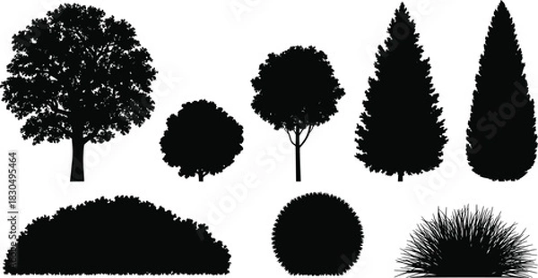 Fototapeta Tree and Shrub Silhouette Vector Set: Conifer, Deciduous, and Bush Graphics for Landscape Architecture and Nature Design