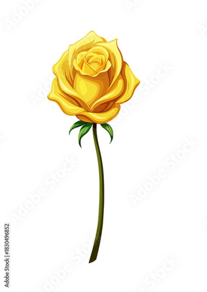 Obraz yellow rose isolated on white