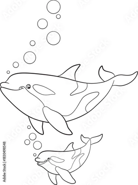 Obraz Black and white line art coloring page. Marine wild animals.A cute mother orca and her happy calf smiling at each other while swimming. Whale killer.
