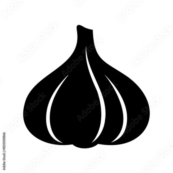 Fototapeta Isolated vector icon of garlic bulb with curved segments and texture