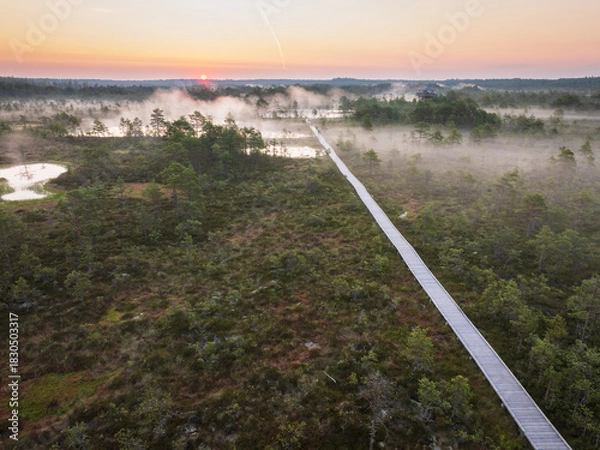 Fototapeta Aerial view of a wooden boardwalk winding through a misty peat bog landscape during a colorful sunrise