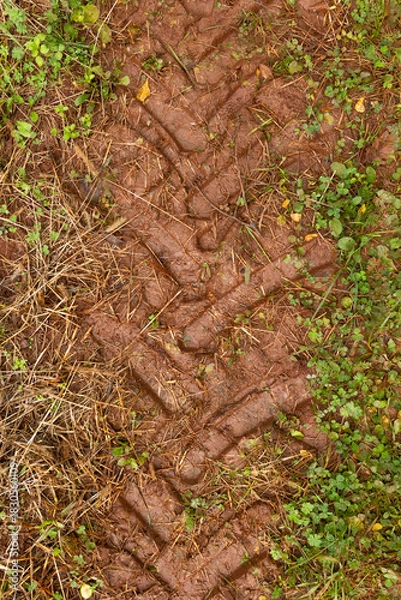 Fototapeta Deep tractor tire imprint in muddy soil and grass. Signs of agricultural activity and land cultivation.