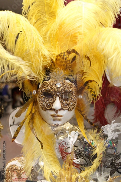 Fototapeta Venetian mask 6
