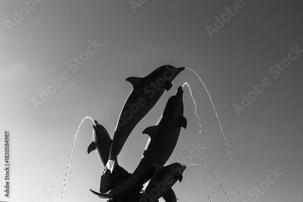 Fototapeta Dolphin fountain sculpture with arcing water jets in black and white