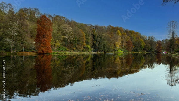 Obraz autumn trees reflected in water