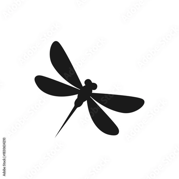 Fototapeta Dragonfly logo design with style and creative concept