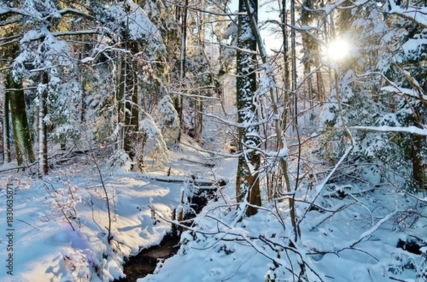 Obraz Winterwald, von der Sonne durchstrahlt
