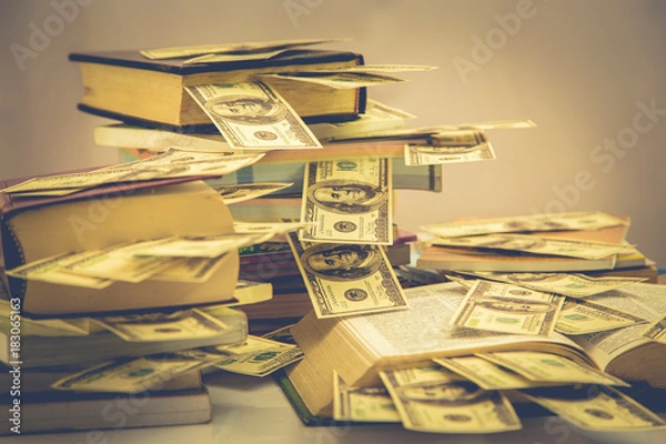 Obraz business man with money and books