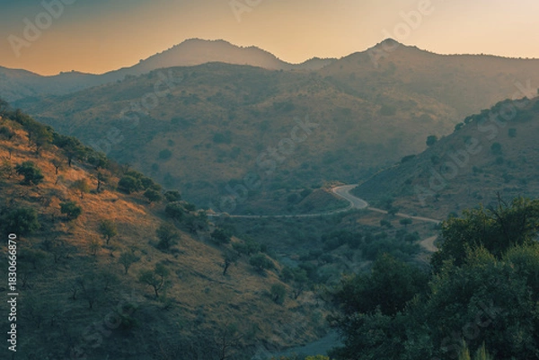 Obraz Hazy valley with hills and olive trees during sunset. Almogia, Malaga, Andalucia, Spain.