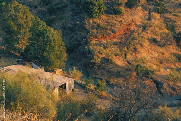 Obraz Stable of corrugated iron between trees in a valley during golden hour. Andalucia, Spain.