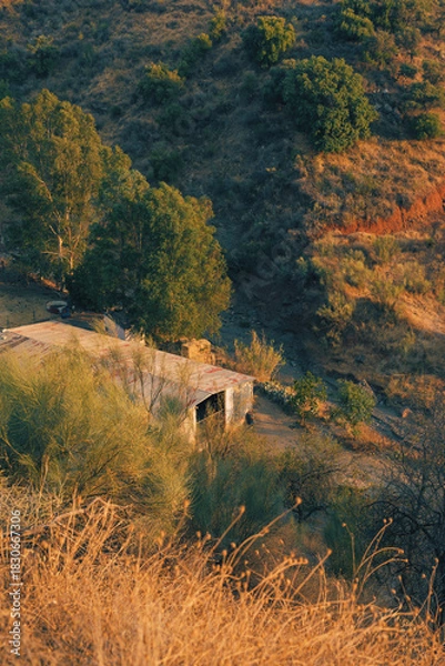 Obraz Stable of corrugated iron between trees in a valley during golden hour. Andalucia, Spain.