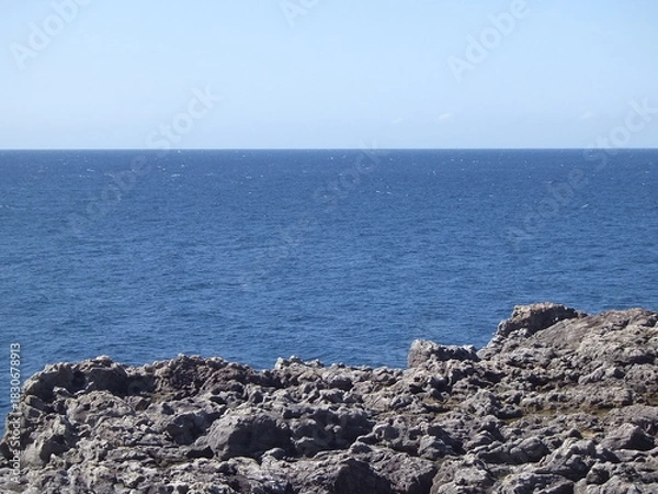 Obraz Nature　自然