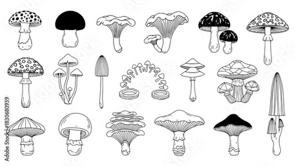Obraz A varied collection of eighteen hand-drawn mushroom illustrations, featuring outlines, solid black caps, and spotted designs, arranged in an irregular grid on a white background.