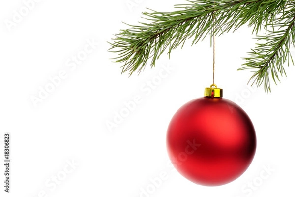 Fototapeta Red Christmas ball with fir branches isolated on white