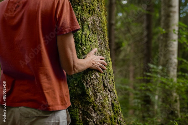 Fototapeta Woman's hand touching mossy tree trunk in forest. Forest bathing, mindfulness and spiritual connection with nature.