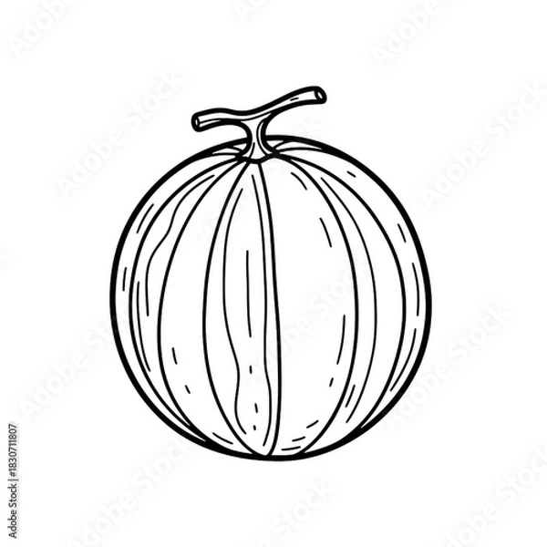 Obraz Abstract black and white swirls and lines