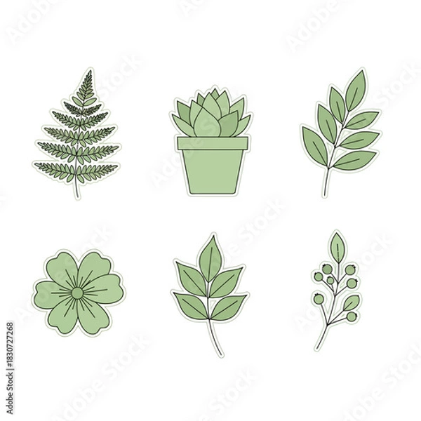 Fototapeta Botanical sticker set with fern succulent flower branch and leaves in soft green tones offering a