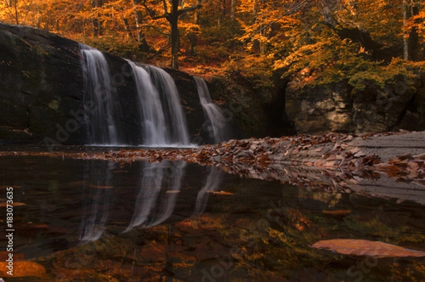 Obraz  Waterfall and Beautiful Reflection