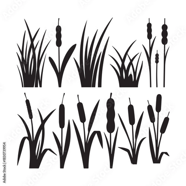 Fototapeta Black Silhouette Vector Set Grass Clumps, Reeds, and Cattail Plants for Design. 