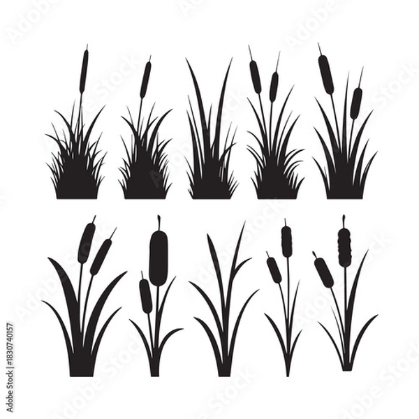 Fototapeta Black Silhouette Vector Set Grass Clumps, Reeds, and Cattail Plants for Design. 