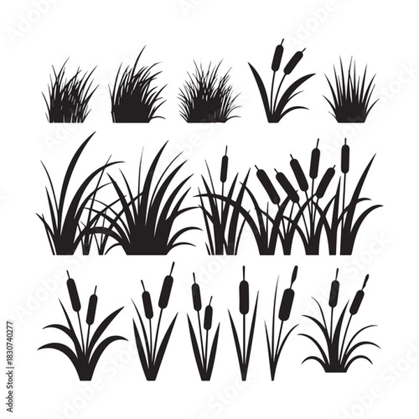 Obraz Black Silhouette Vector Set Grass Clumps, Reeds, and Cattail Plants for Design. 
