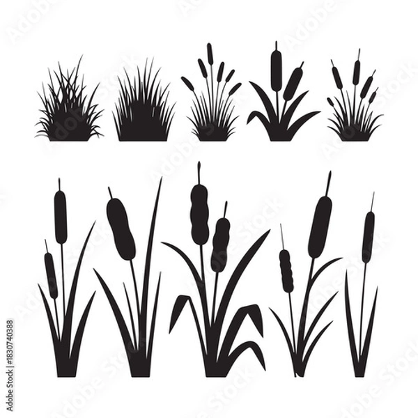 Fototapeta Black Silhouette Vector Set Grass Clumps, Reeds, and Cattail Plants for Design. 