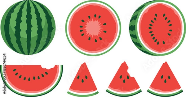 Fototapeta Fresh watermelon slices set vector illustration for summer design elements