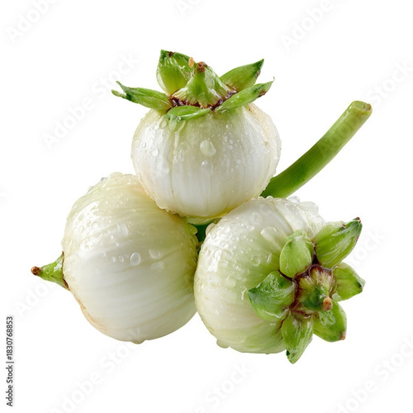 Fototapeta Close-up of three clustered, white, round fruits with green tops and water droplets