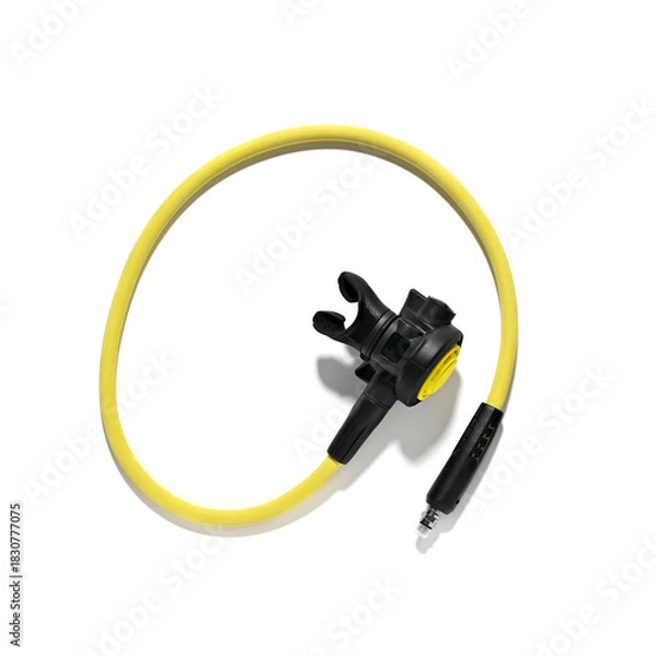 Obraz Octopus from above isolated on white background