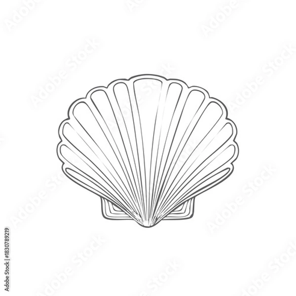 Fototapeta Outlined seashell graphic. Scalloped marine shell illustration, oceanic element.