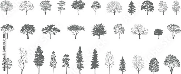 Fototapeta Monochrome hand-drawn tree silhouette vector set, varied tree shapes, editable scalable EPS SVG icons for botanical landscapes and design projects