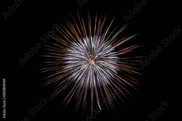 Fototapeta 長野えびす講花火大会の美しく放物線を描く花火