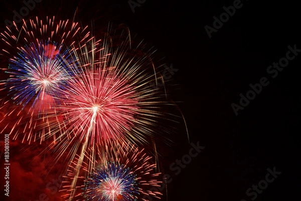 Fototapeta 長野えびす講花火大会の美しく放物線を描く花火