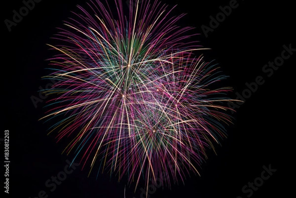 Fototapeta 長野えびす講花火大会の美しく放物線を描く花火