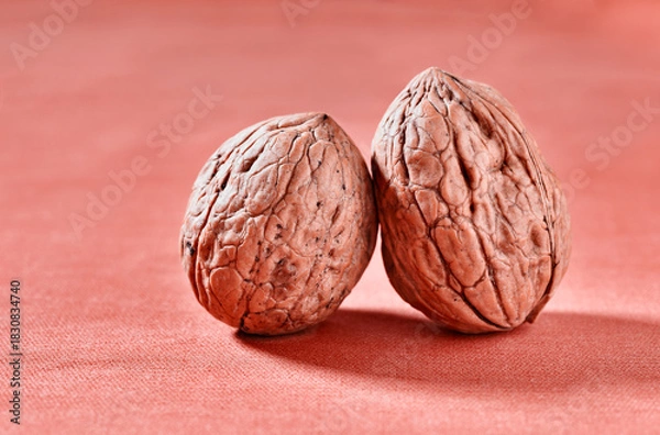 Obraz Two  walnuts studio shot
