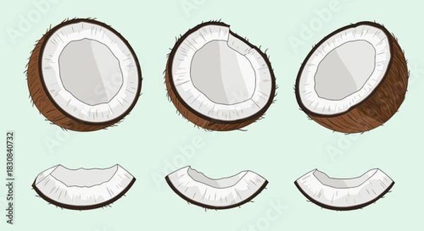Fototapeta Fresh brown coconuts cut into halves and smaller pieces, revealing white flesh, arranged on a light green background, perfect for tropical themes.