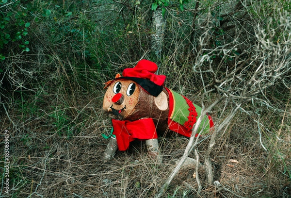 Obraz a colorful Tio de Nadal among forest branches