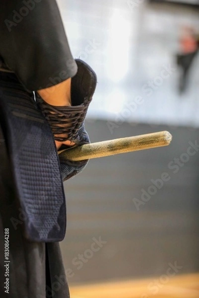 Obraz kendo