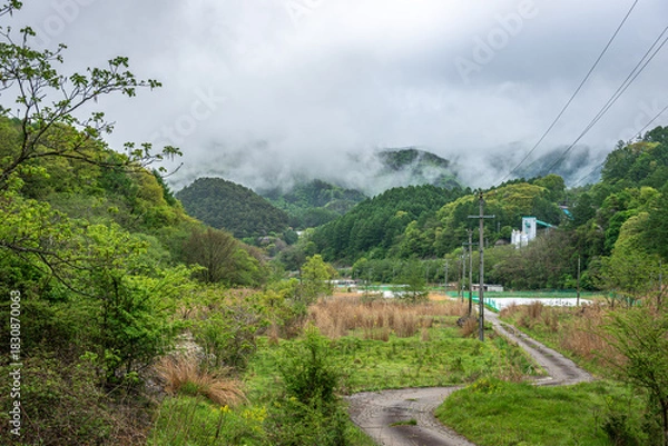 Fototapeta 長野県南牧村の緑深い山里と霧、5月の新緑と梅雨のような湿気の風景
