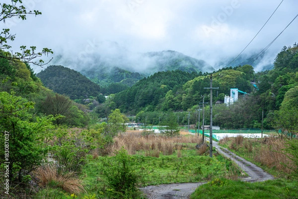 Fototapeta 長野県南牧村の緑深い山里と霧、5月の新緑と梅雨のような湿気の風景
