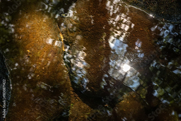 Fototapeta 長野県南牧村の渓流の岩に反射する水面と光のテクスチャ
